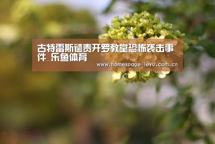 古特雷斯谴责开罗教堂恐怖袭击事件_乐鱼体育(图1) 乐鱼