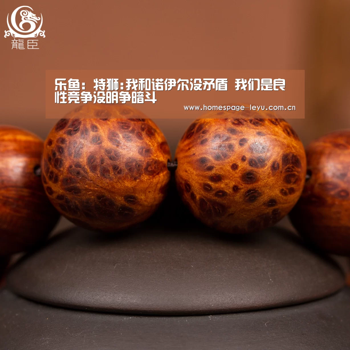 乐鱼:特狮:我和诺伊尔没矛盾 我们是良性竞争没明争暗斗(图1) 乐鱼