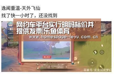 网约车平台实行明码标价并提供发票|乐鱼体育(图3) 乐鱼